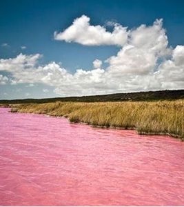 La couleur rose de l'eau du Lac Hillier