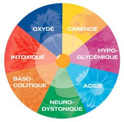 Bilan bionutritionnel IoMet