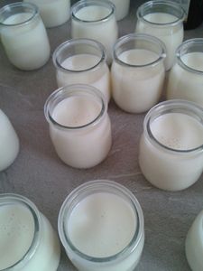 pots de crèmes vanille/caramel