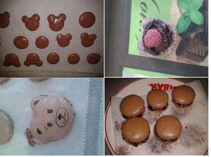 macarons nounours