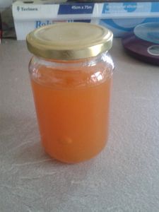 gelée pommes potiron