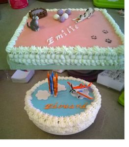 gâteaux planes et chats