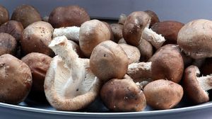 Omelette aux shiitakés. Ou aux girolles. Selon ce que tu as sous la main.