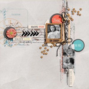 Scraplift sur Variations Créatives