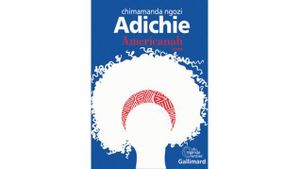 Americanah ou l’odyssée d’une jeune immigrée nigériane