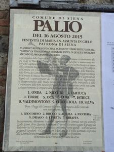 Affiche course du Palio