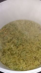 gelée de fleurs de sureau