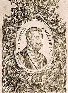 Wikimedia Commons