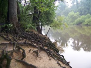 Down by the riverside