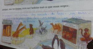 Le pluriel des noms : découverte en 4ème année