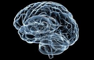 Cervello: stimolazioni elettriche aiutano a recuperare la memoria