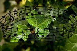 Le piante sono esseri viventi