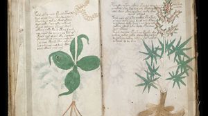 Il Manoscritto Voynich