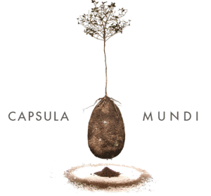 Capsula Mundi: una sepoltura rivoluzionaria o una pazzia