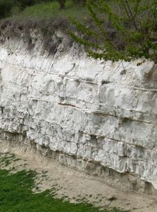Clima, CNR: l’effetto serra sta ritardando la prossima glaciazione