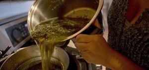 olio di cannabis o canapa: rimedio naturale anche contro il cancro