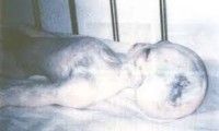 Progetto Aquarius: alcune pagine del documento Top Secret