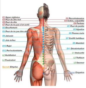 COLONNE VERTEBRALE OU LE SAC A DOS EMOTIONNEL