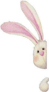 .. Lapin boite a mouchoir ..