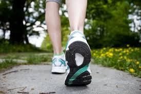 Vamos a Caminar