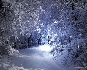 foto neve 15