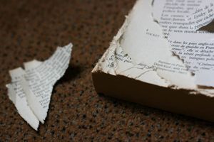 Grignotages littéraires : " Cet auteur a changé ma vie "