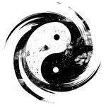 PROCHAINS STAGES QI GONG : DIM. 12 AVRIL 2015