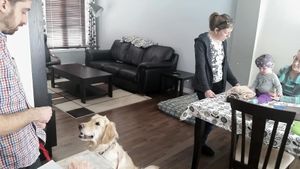 Pour un chien en contrôle de son impulsivité devant un bébé visiteur