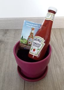 La petite graine a été plantée...