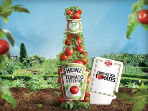 La petite graine a été plantée...