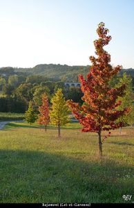 Couleur : ROUGE, l'automne
