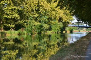 Petite balade au bord du canal - 1 -