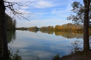 Le bord de l'eau, tout au bord - 1