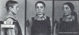 LE CAMP D'AUSCHWITZ- BIRKENAU ET LES TZIGANES