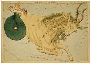 Capricorne