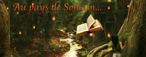 6e salon du livre de Somain (59) 25, 28 et 29 novembre 2015