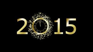 Top 2015