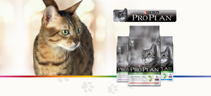 Campagne Pro Plan Chats Stérélisés les Initiés