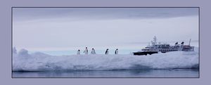 ANTARCTIQUE - ARTICQUE