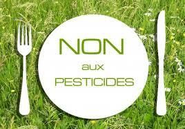 2015-03 Les pesticides