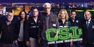 Audiences du 19 Octobre 2014