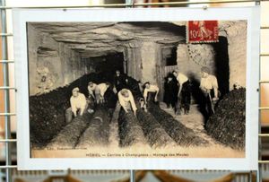 RETOUR SUR LES 900 ANS (2)
