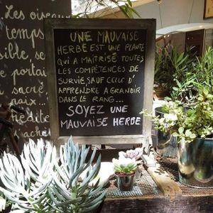 "Ce ne sont pas les mauvaises herbes qui étouffent le bon grain, mais la négligence du cultivateur"