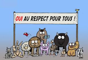 A Saint-Pardoux, les chats domestiques sont en dangers!