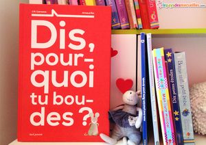 J. R. Catremin & Arnaud Roi, Dis, pourquoi tu boudes ?