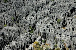 Tsingy de Bemaraha: Parmi les 10 merveilles naturelles d’Afrique
