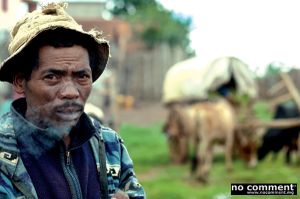 Ingahy Zà : La charrette avant les bœufs