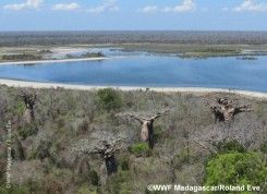 Environnement : 10 sites RAMSAR pour Madagascar