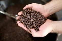 Le café, inoffensif pour la santé, protège peut-être même contre des maladies