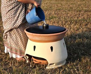Cinq procédés insolites pour épurer les eaux usées